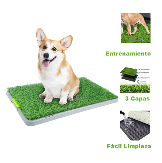 🐕 Tapete de Entrenamiento para Perro Grande 🌱