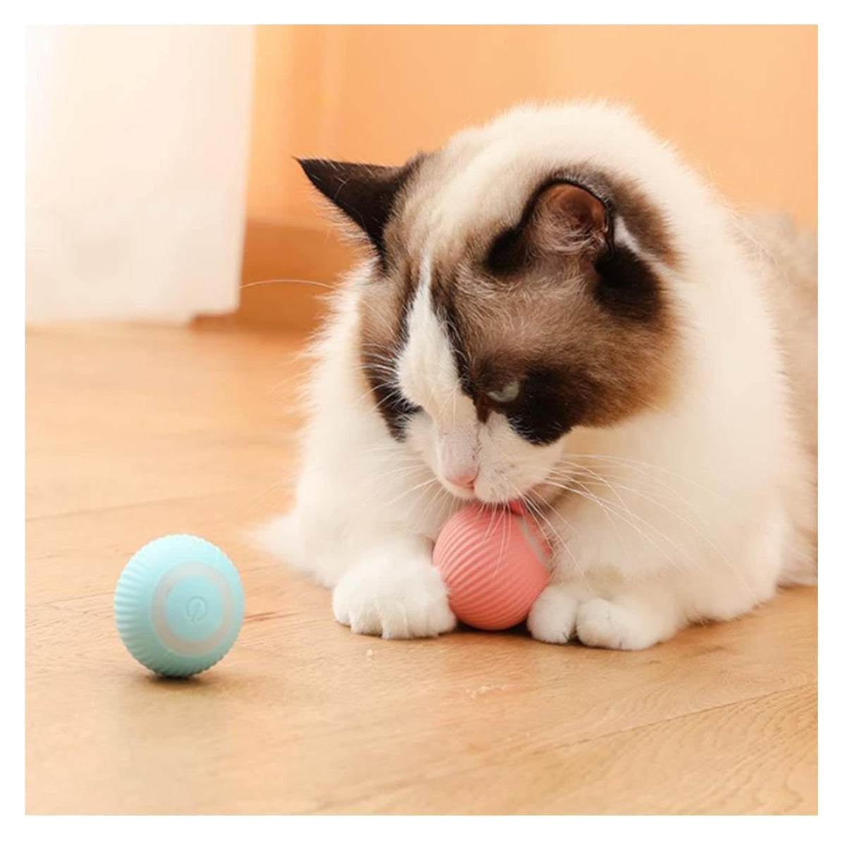 🐾 Juguete Bola Interactiva para Gato y Perro 🐱🐶